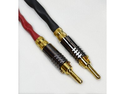 AUDIO SPACE SIGNATURE 2,50 MT X 2