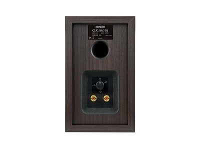FOSTEX GX100BJ