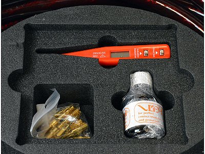 VAN DEN HUL SUPERNOVA