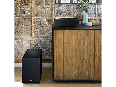 YAMAHA MUSICCAST 50 (WX-051)