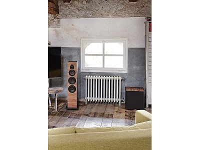 SONUS FABER LUMINA V