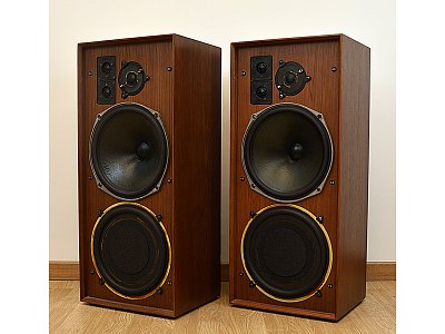 CELESTION DITTON 25