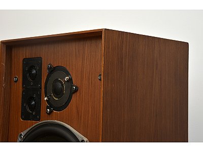 CELESTION DITTON 25