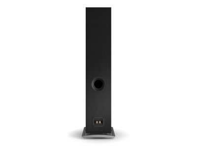 DALI OBERON 7