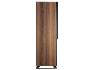 DALI OBERON 7