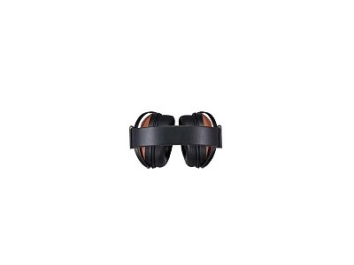 FOSTEX TH808