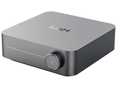 WIIM AMP