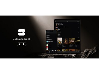 MATRIX AUDIO MS-1
