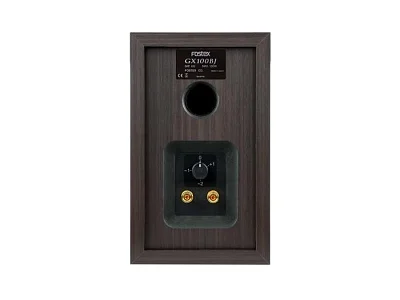 FOSTEX GX100BJ