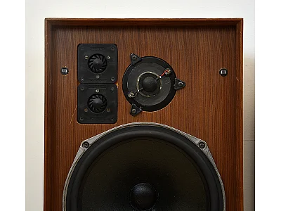 CELESTION DITTON 25 CELESTION DITTON 25