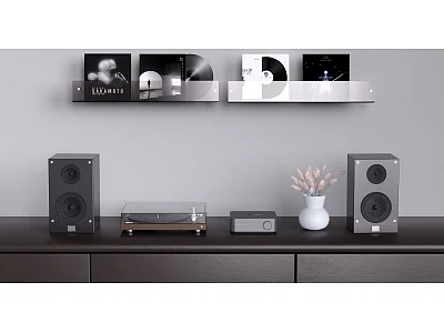 WIIM AMP PRO