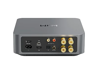 WIIM AMP PRO