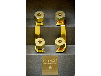 TRIANGLE GENESE QUARTET TRIANGLE GENESE QUARTET