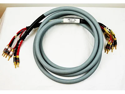 PROAC AUTOCOSTRUITO