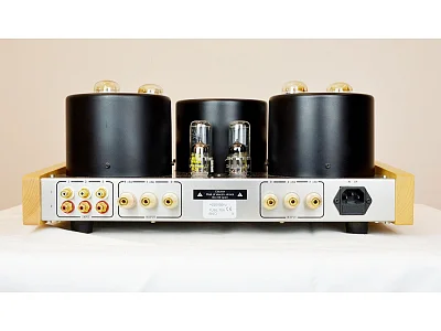 CONSONANCE M100S PLUS