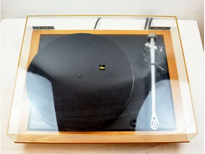 REGA PLANAR 25 + HEED ORBIT REGA PLANAR 25 + HEED ORBIT