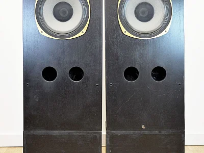 Estro Armonico ESTRO ARMONICO TANNOY SRMX 12