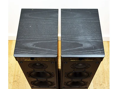 MERIDIAN DSP 5000 + MERIDIAN G01 MERIDIAN DSP 5000 + MERIDIAN G01