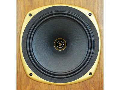 TANNOY STIRLING SE TANNOY STIRLING SE