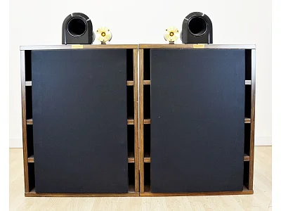 EXTREMA VOICE MINI ONKEN 3 VIE