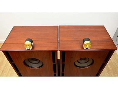 EXTREMA VOICE MINI ONKEN FULLRANGE
