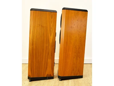 TANNOY D500