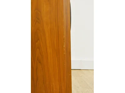 TANNOY D500