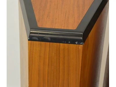 TANNOY D500