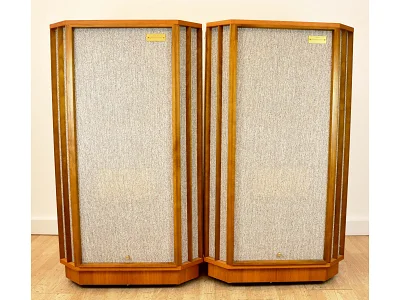 TANNOY YORKMINSTER SE