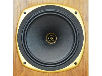 TANNOY STIRLING SE