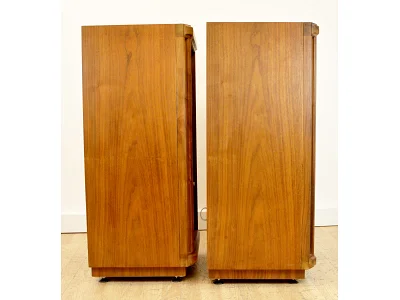 TANNOY STIRLING SE